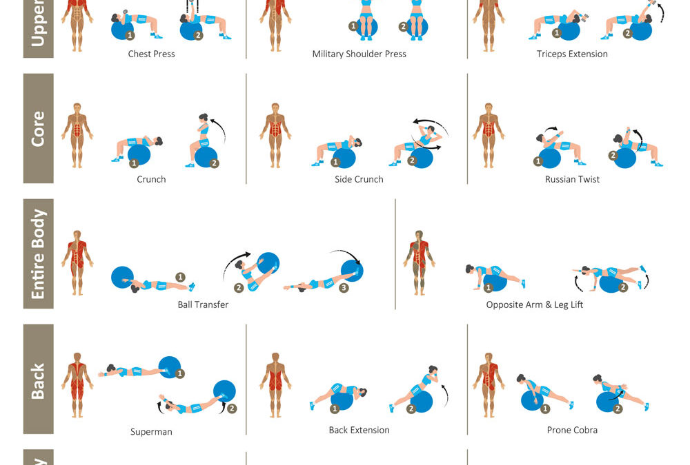 Ball Workout